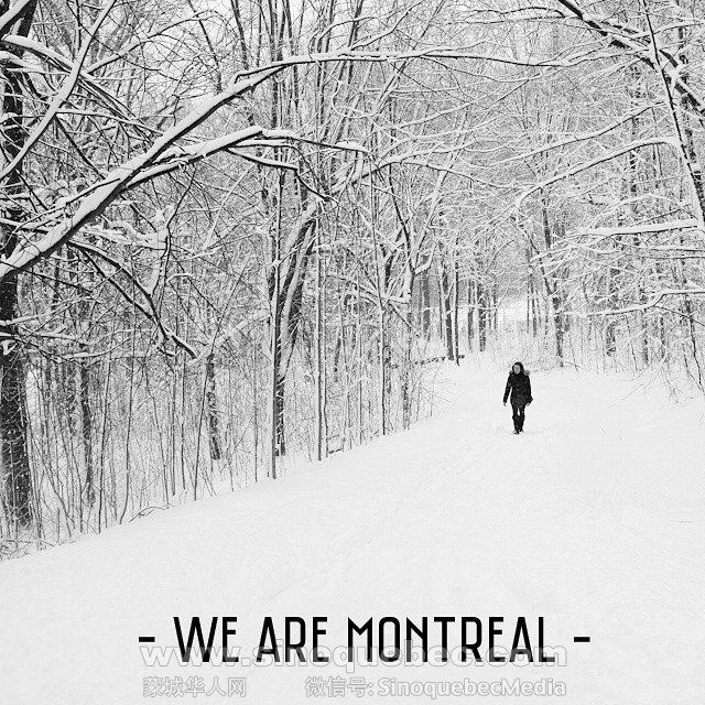 By Wearemontreal