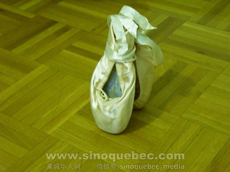 ballet shoes 3.jpg