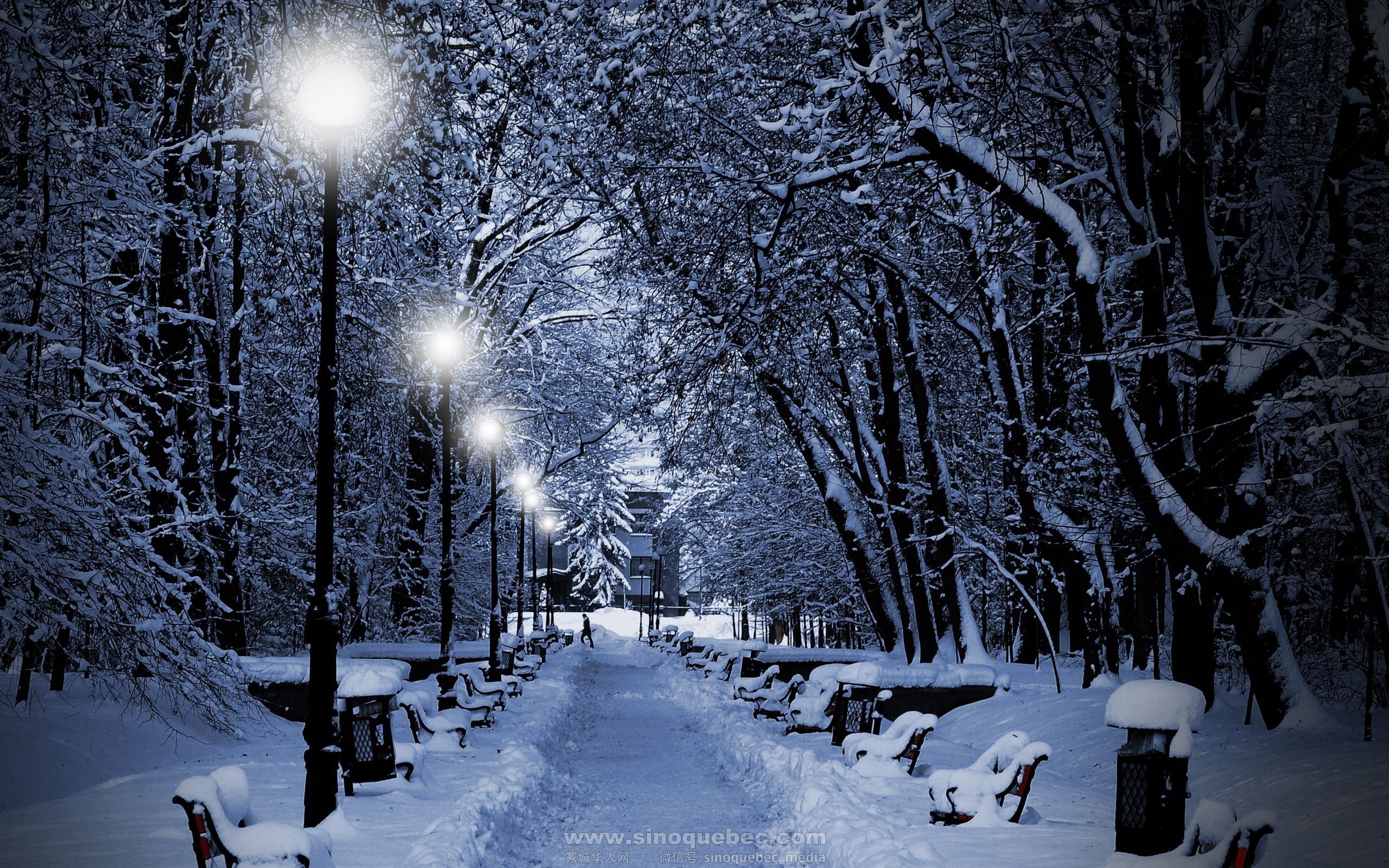 winter-night-wallpaper-6.jpg