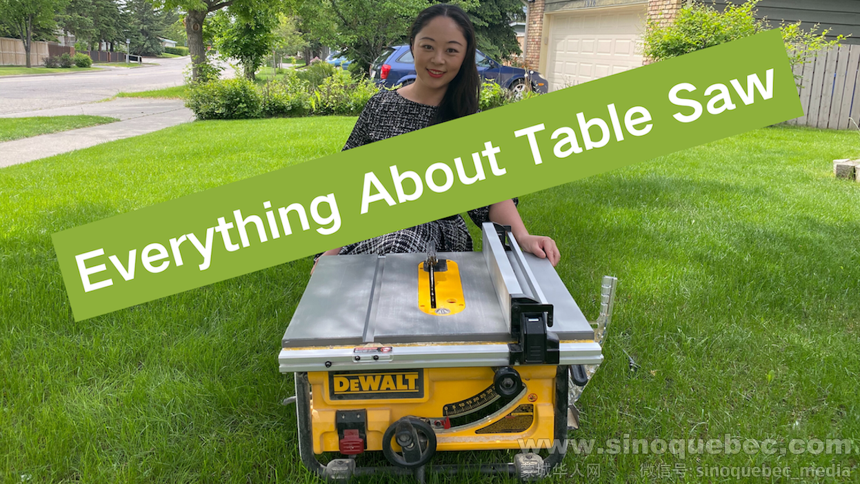 Everything About Table Saw.png