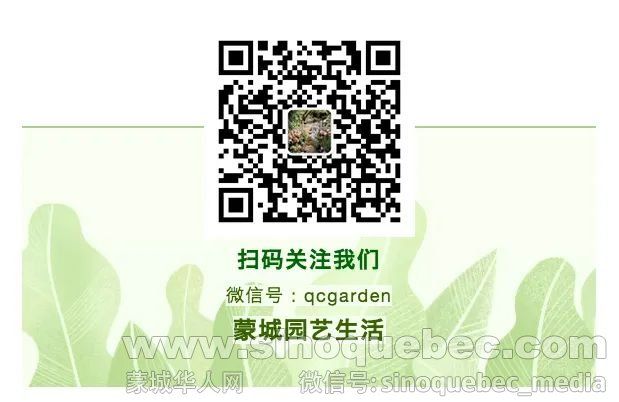 WeChat Image_20200713223216.jpg