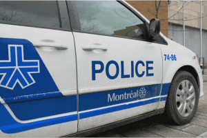 打击有组织犯罪 蒙特利尔警方大型缉毒行动