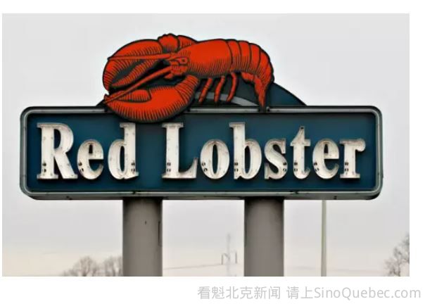 世界最咸餐厅？Red Lobster宣布破产 真实原因竟是….