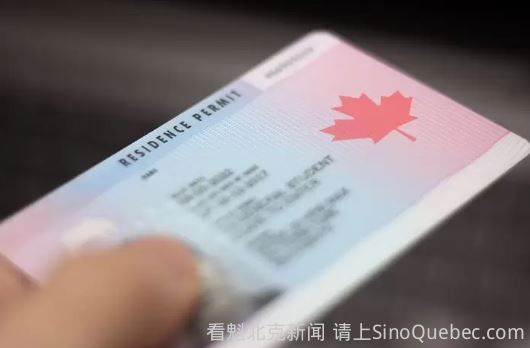 加拿大华人男子遭身份盗窃后，被移民部吊销枫叶卡！