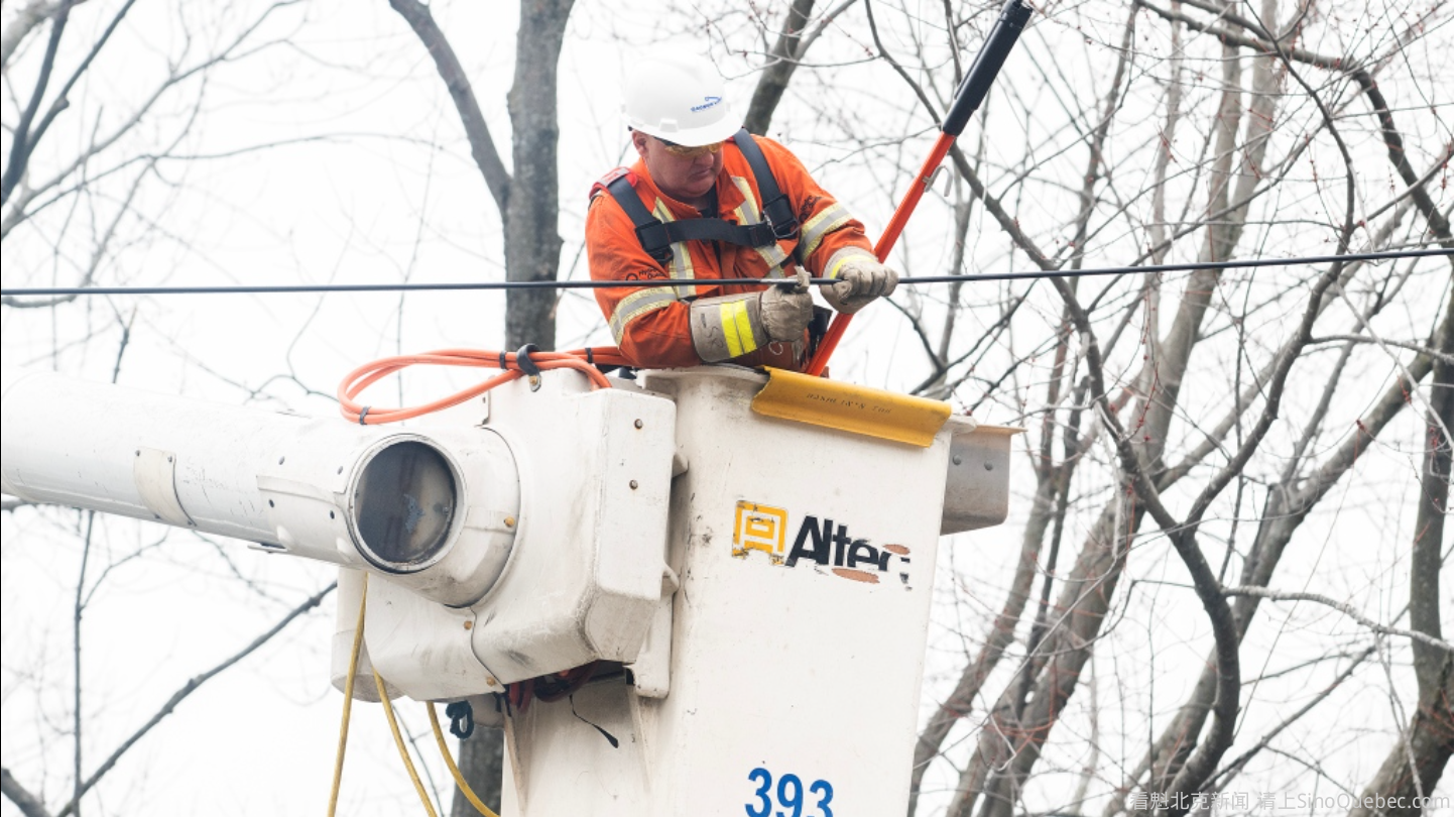 为冬季风暴做准备 魁省Hydro-Québec正在修树