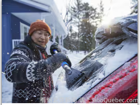 Canadian Tire新年特价