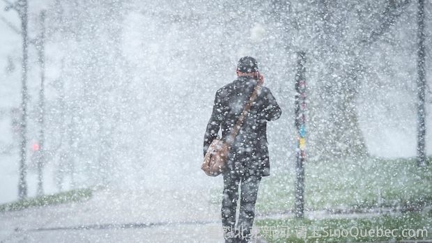 降雪回归：魁北克部分地区积雪可能高达50厘米