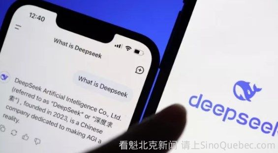 DeekSeek靠“蒸馏”火出圈：到底是创新还是剽窃？